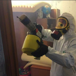 Уничтожение клопов в квартире. Калининец